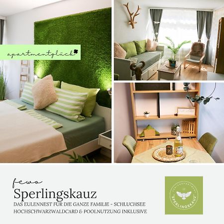 שלוכזי Fewo Sperlingskauz Mit Pool, Sauna & Hochschwarzwaldcard מראה חיצוני תמונה